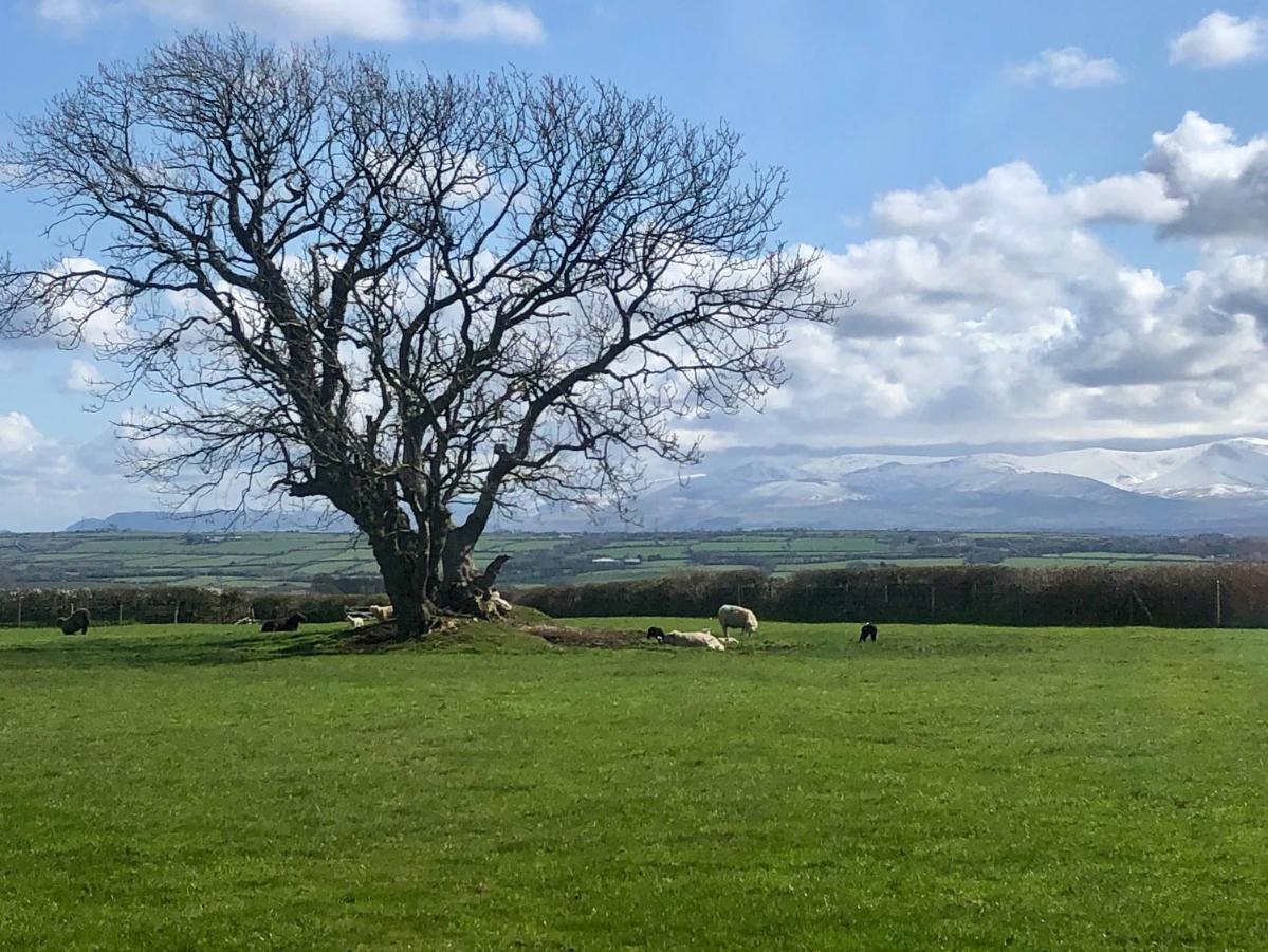 Drosgl Villa Llangefni Buitenkant foto